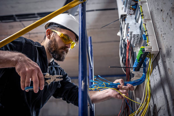 Best Electric Panel Repair  in Oswego, IL